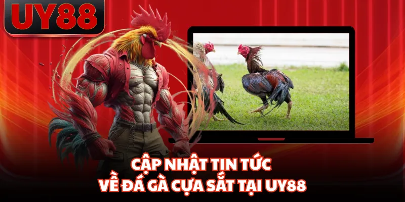 Cập nhật tin tức về đá gà cựa sắt tại UY88