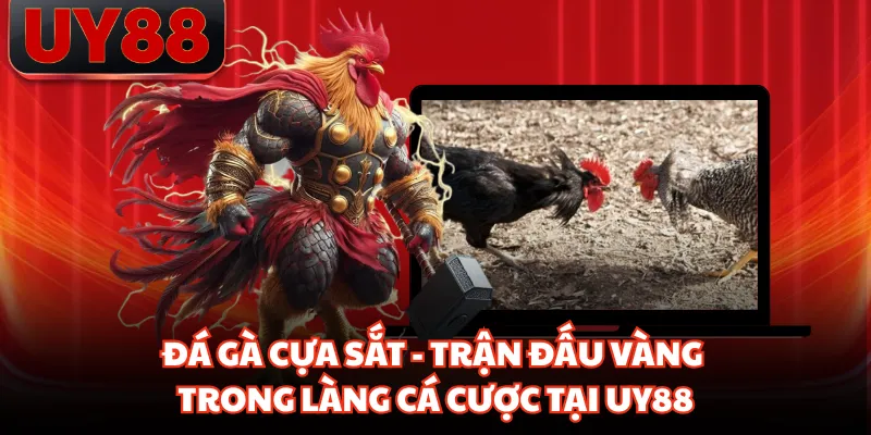 Đá Gà Cựa Sắt - Trận Đấu Vàng Trong Làng Cá Cược Tại UY88