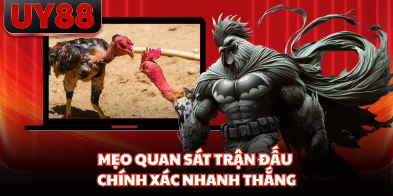 Mẹo quan sát trận đấu chính xác nhanh thắng