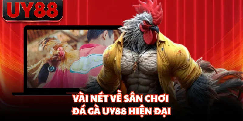 Vài nét về sân chơi đá gà UY88 hiện đại